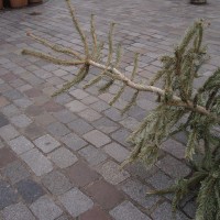 Joyeux et mortuaire Noël (2009)