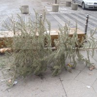 Cadavres de 2010 (partie 2)