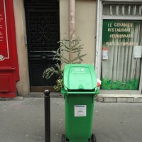 Cadavre dans la rue: Édition 2012