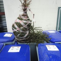 Cadavre dans la rue: Édition 2012 partie 2