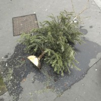 Cadavres de rues: Édition 2014