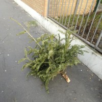 Cadavres de rues: Édition 2014 – Partie 3