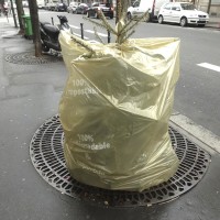 Cadavres de rues 2015: Serie 1