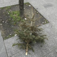 Cadavres de rues 2015: Série 2