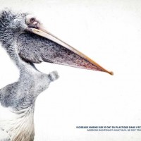 Campagne publicitaire WWF