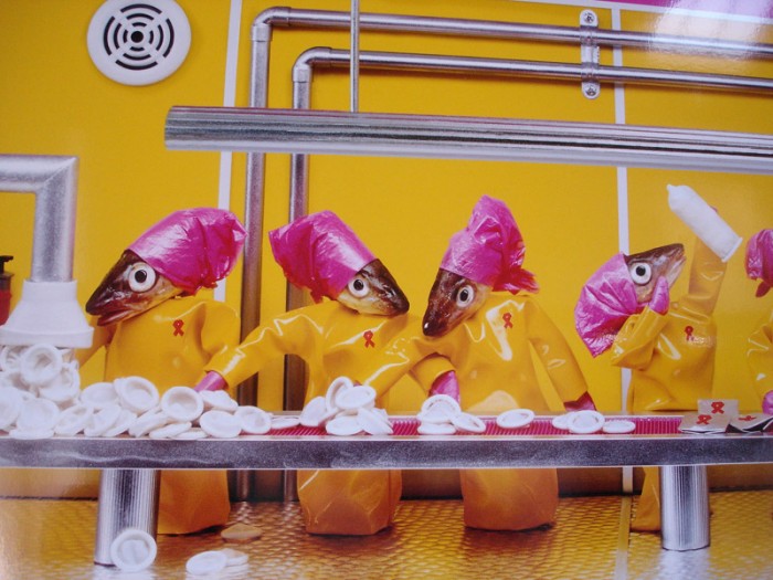 Artiste: Catherine Becker-Echivard