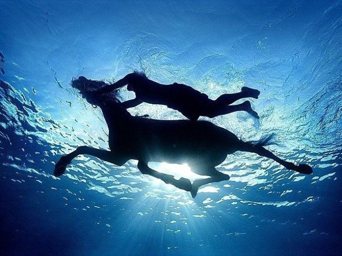 Artiste : Zena Holloway