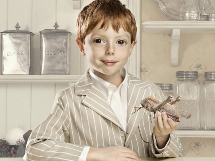 Agence de photographes LSD