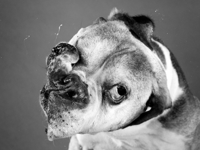 Photographe: Carli Davidson