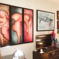 Photos et vidéo des Portes Ouvertes de mon atelier en Juin 2017