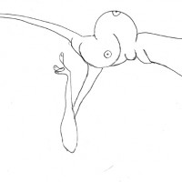 Preparation de ma carte de voeux