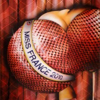 Peinture: Miss France 2010