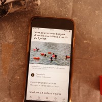 Ma photo du jour le 14-05-2025