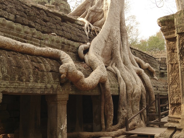 Mon voyage aux temples d’Angkor au Cambodge 2