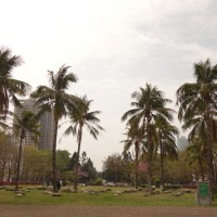 Mon voyage à Taichung à Taïwan: La Coulée verte 4/5