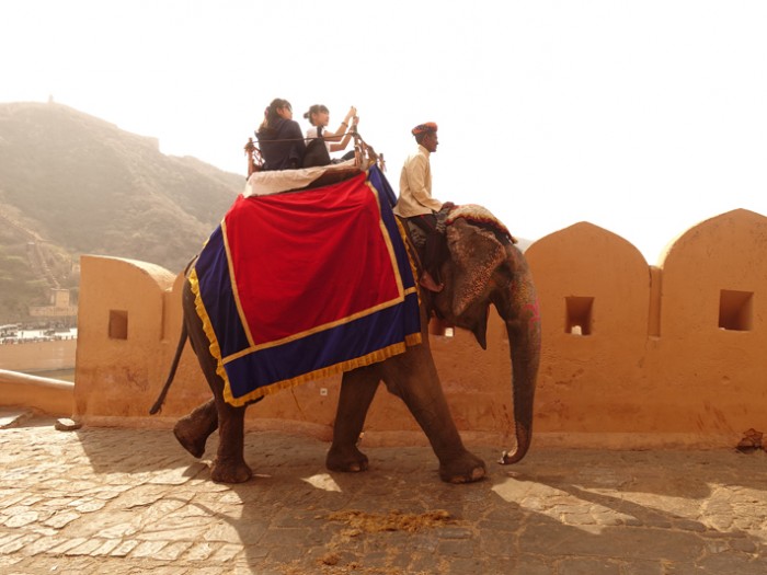 Mon voyage à Jaipur en Inde: Amber Fort et Jaigarh Fort
