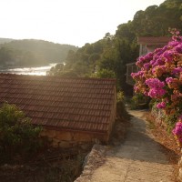 Mon voyage à Polace et au Parc Naturel de l’île de Mljet en Croatie