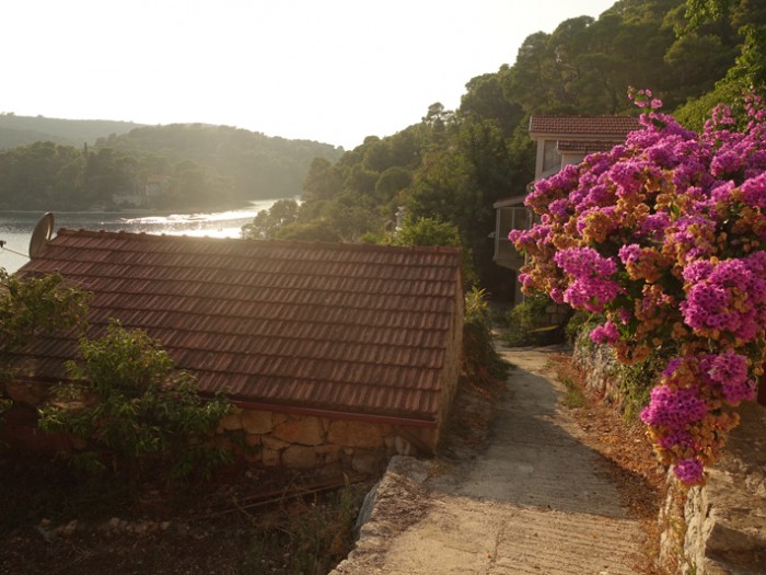 Mon voyage à Polace et au Parc Naturel de l’île de Mljet en Croatie