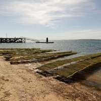 Mon voyage sur les îles d’Armona et Culatra au Portugal
