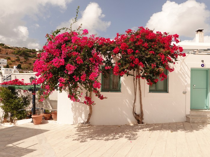 Mon voyage sur l’île Paros en Grèce