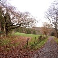 Mon voyage au Parc National de l’Eifel en Allemagne