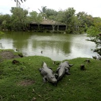Mon voyage aux Everglades à Miami 3/5