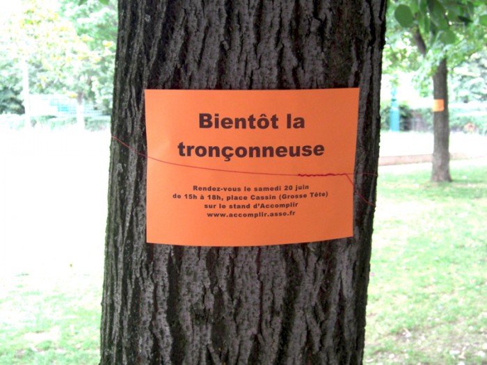 Arbres menacés de mort au Jardin des Halles à Paris