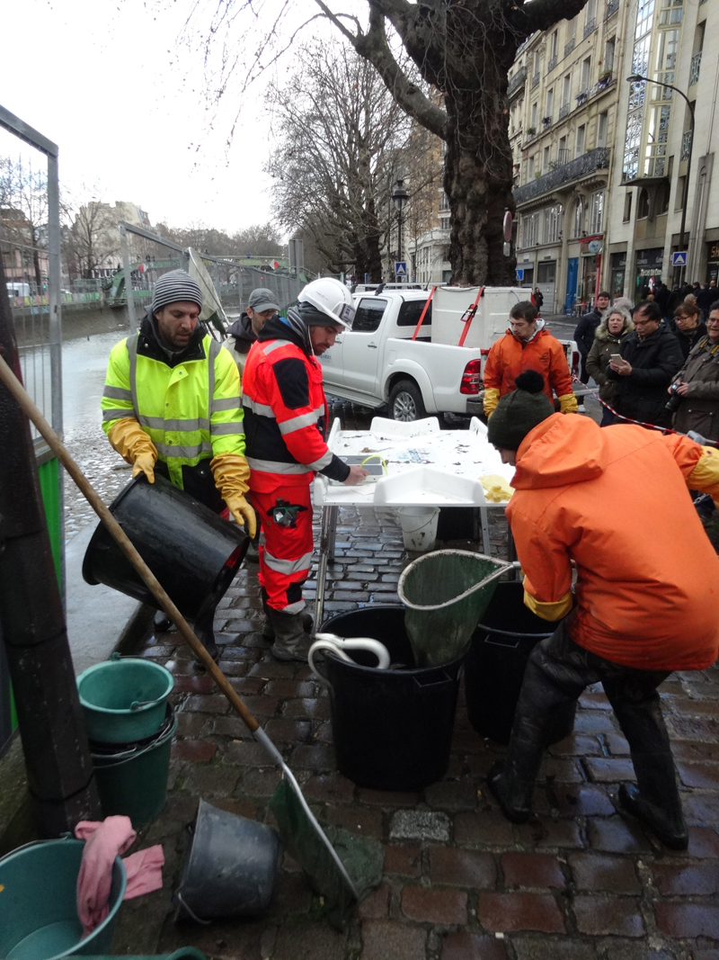 Nettoyage du Canal Saint Martin à Paris