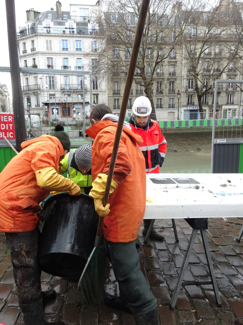 Nettoyage du Canal Saint Martin à Paris