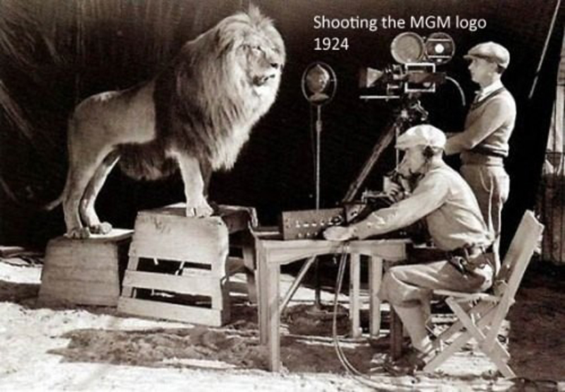 Enregistrement du lion de la production MGM