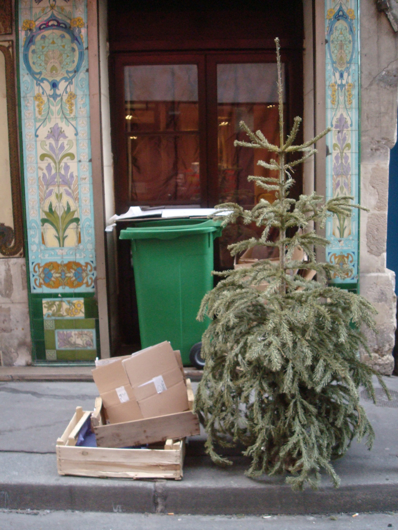 Cadavre de sapin de Noël