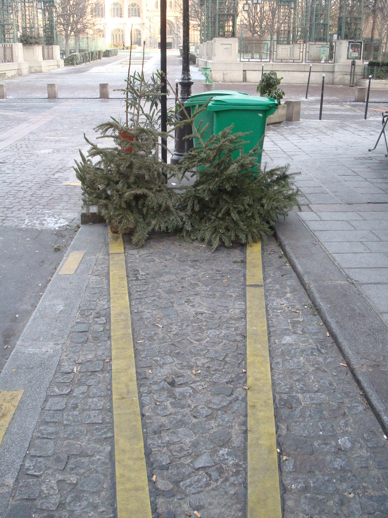 Cadavre de sapin de Noël