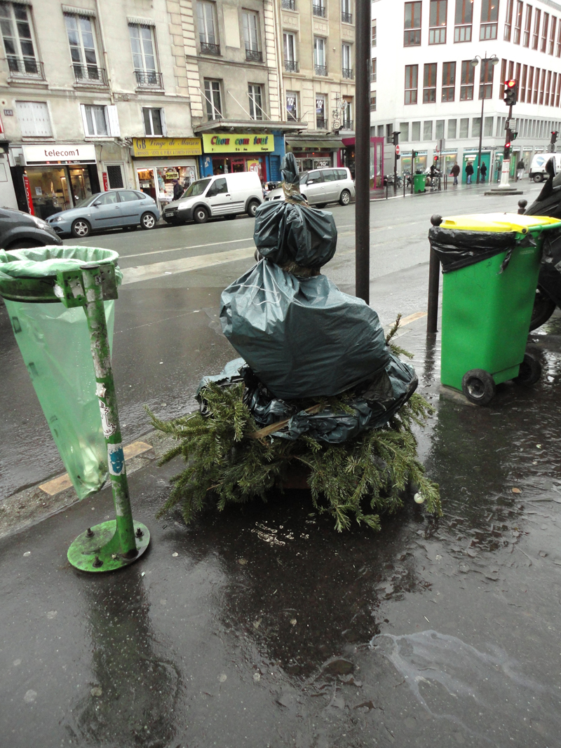 Cadavre de sapin de Noël