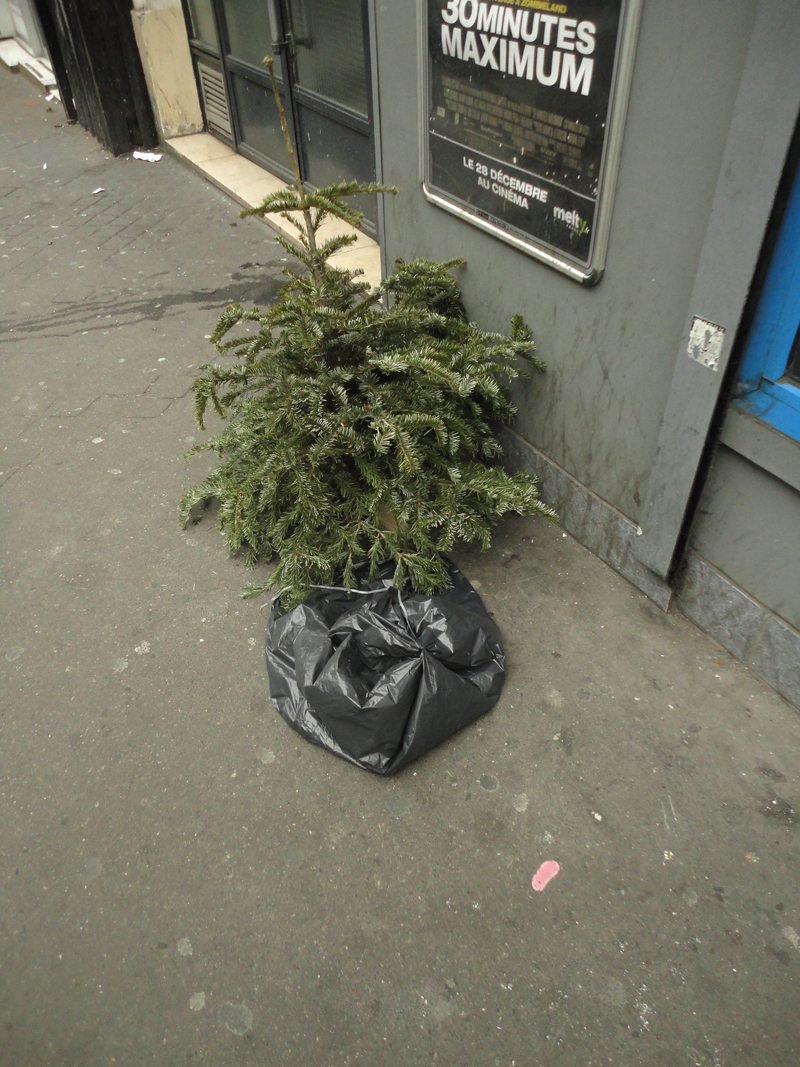 Cadavre de sapin de Noël