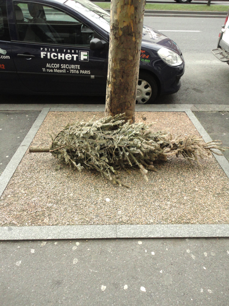 Cadavre de sapin de Noël
