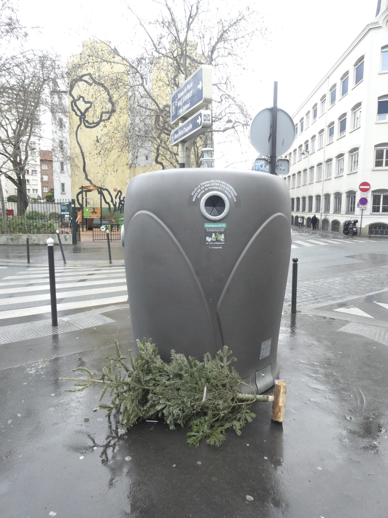 Cadavre de sapin de Noël