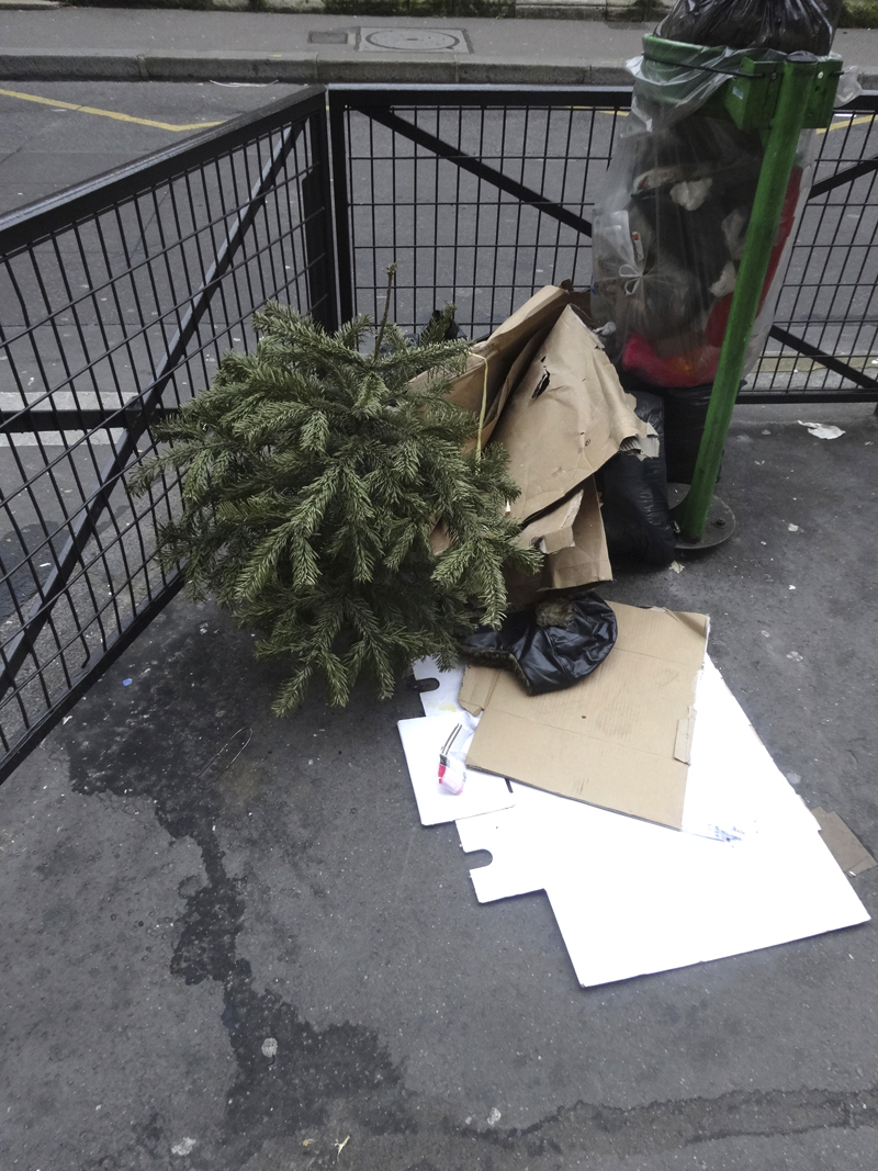 Cadavre de sapin de Noël