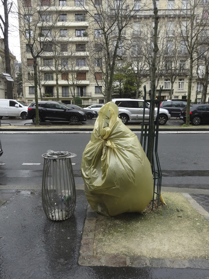 Cadavres de rues cadavre de sapin de Noël