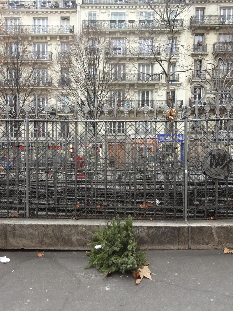 Cadavres de rues cadavre de sapin de Noël