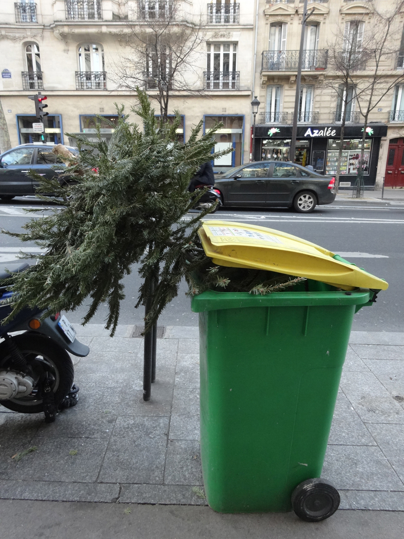 Cadavres de rues cadavre de sapin de Noël