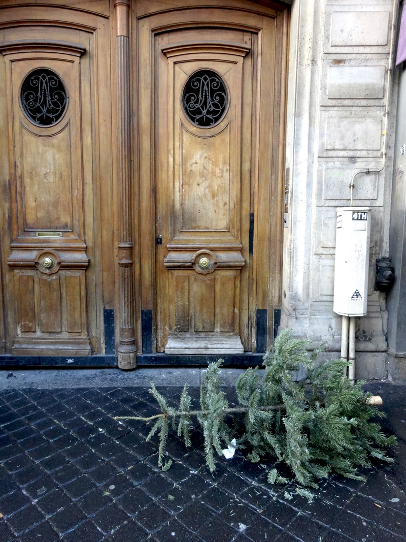 Cadavres de rues cadavre de sapin de Noël