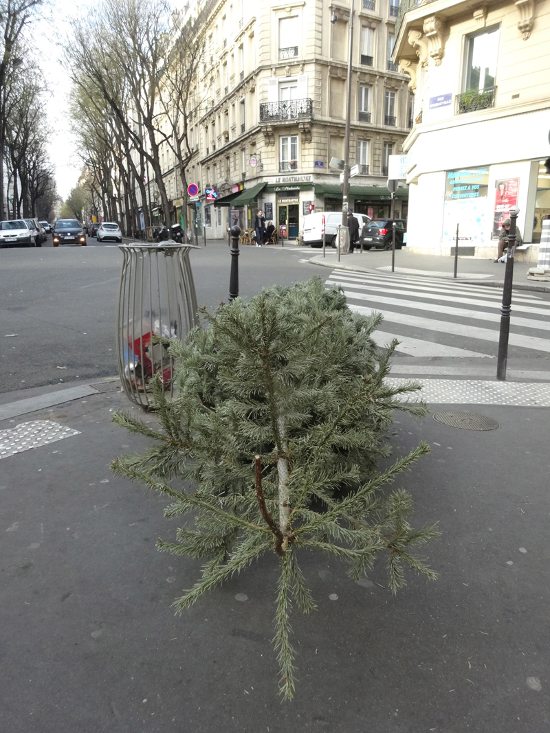 Cadavres de rues cadavre de sapin de Noël