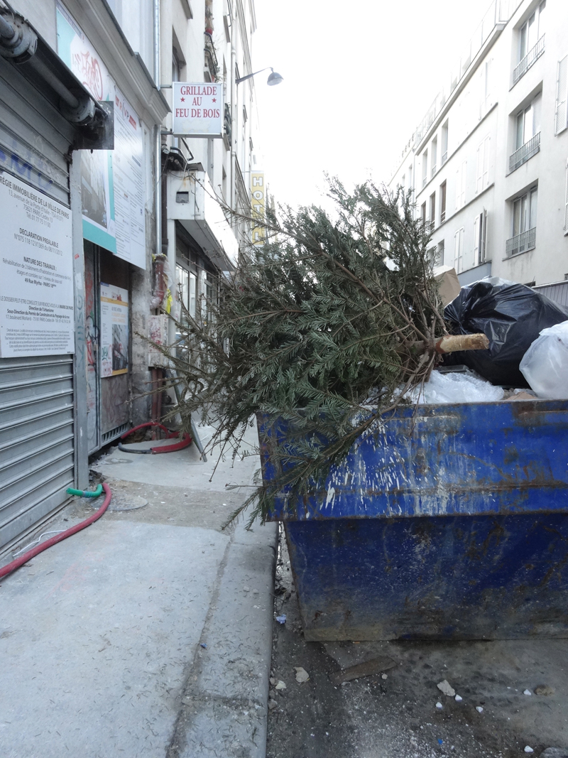 Cadavres de rues cadavre de sapin de Noël