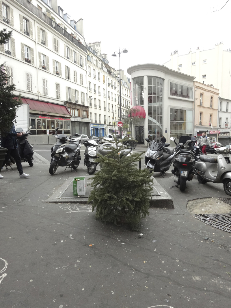 Cadavres de rues cadavre de sapin de Noël