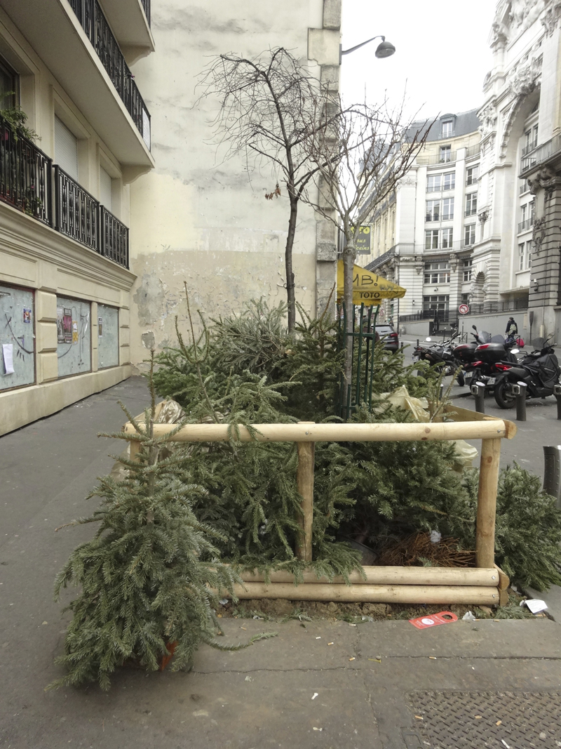 Cadavres de rues cadavre de sapin de Noël