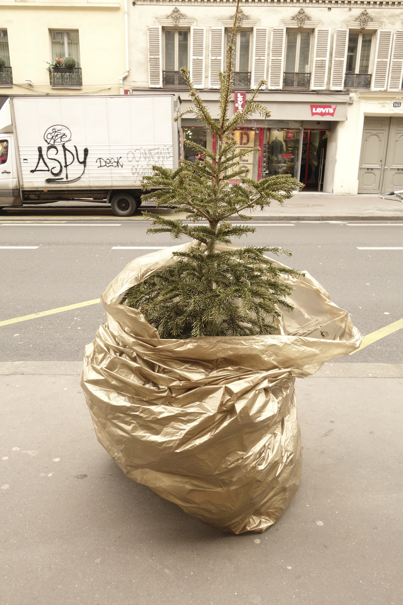 Cadavres de rues cadavre de sapin de Noël