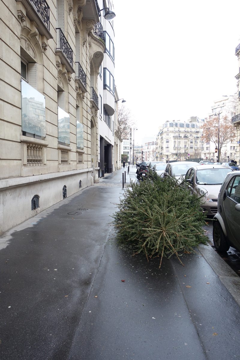 Cadavres de rues cadavre de sapin de Noël