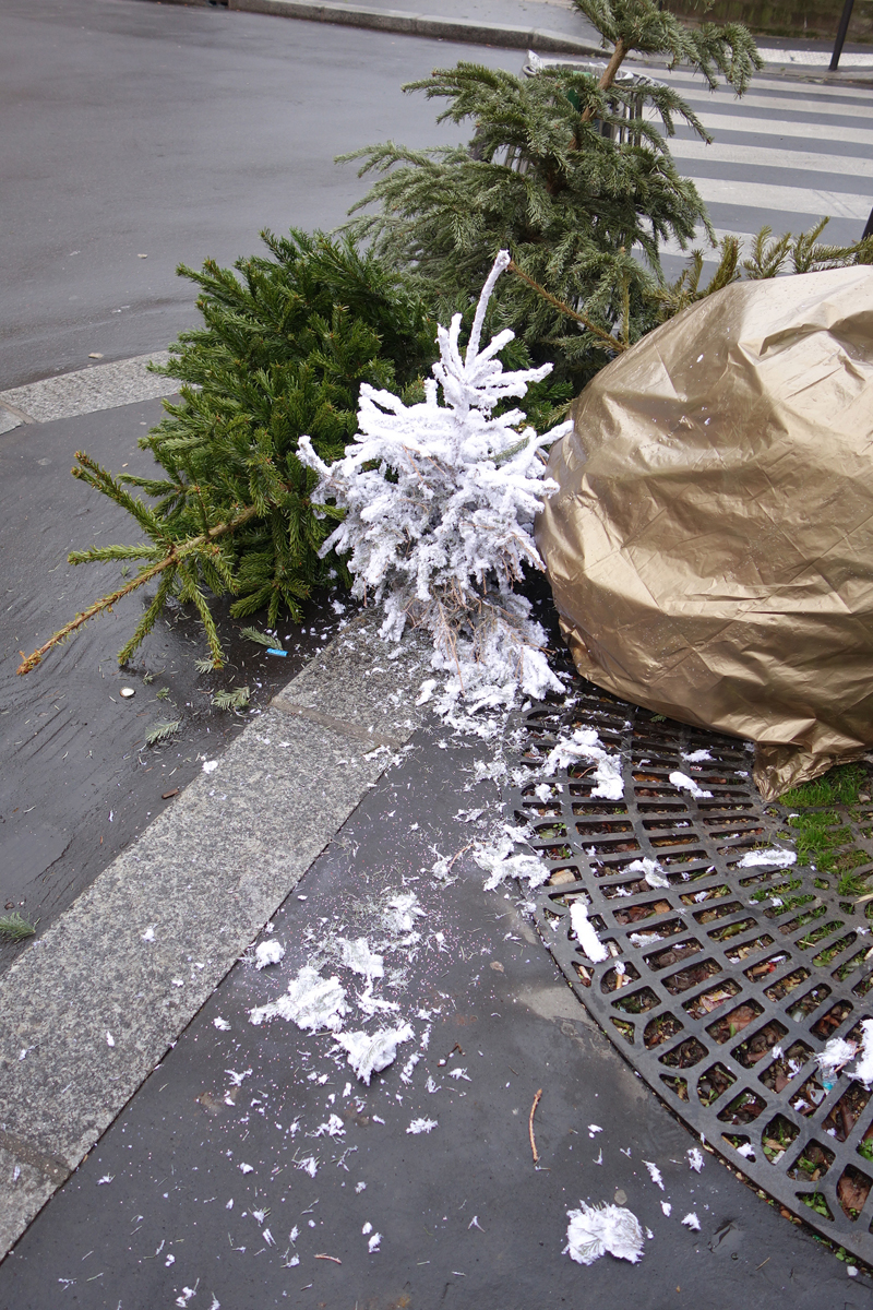 Cadavres de rues cadavre de sapin de Noël