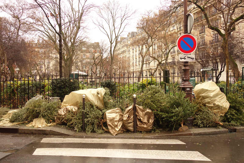 Cadavre de sapin de Noël