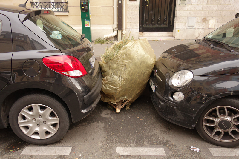 Cadavre de sapin de Noël